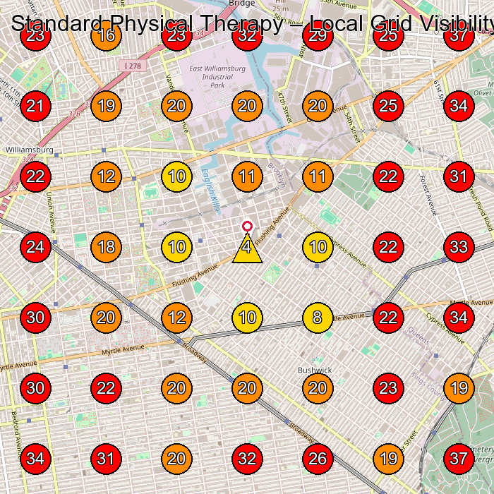 Standard Physical Therapy GeoGrid visibility map for Cleaning Products Supplier in Ridgewood